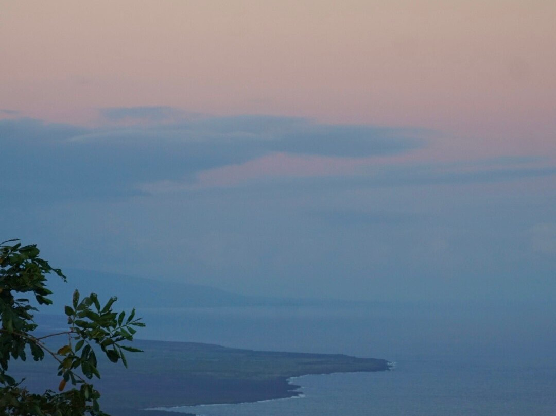 Mauka to Makai: A Local Eatery at Manadina Farm