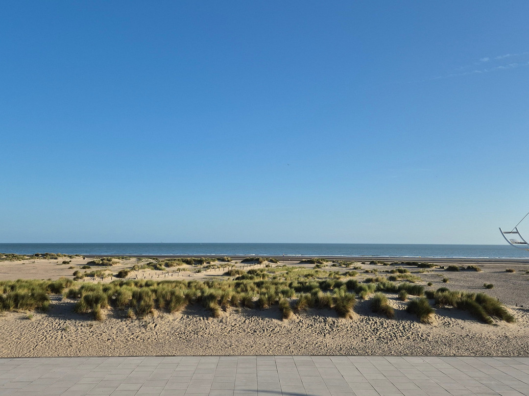 Radisson Blu Grand Hotel & Spa, Malo-les-bains主图