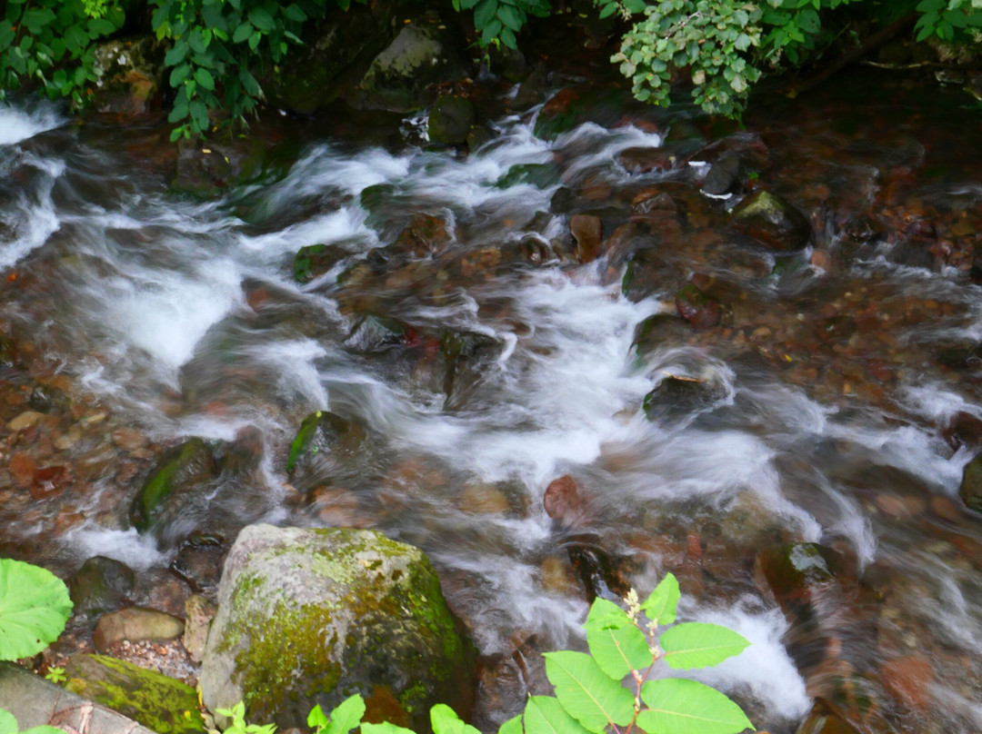尼瑟克阿诗里酒店主图