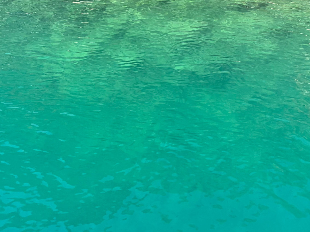 Egemenim Boat - Private Kekova Tour景点图片