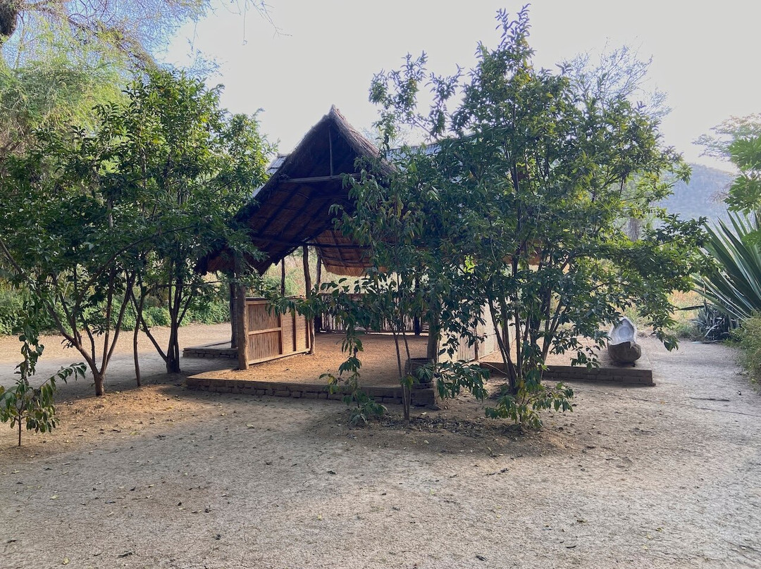 Chogela Safari Camp主图