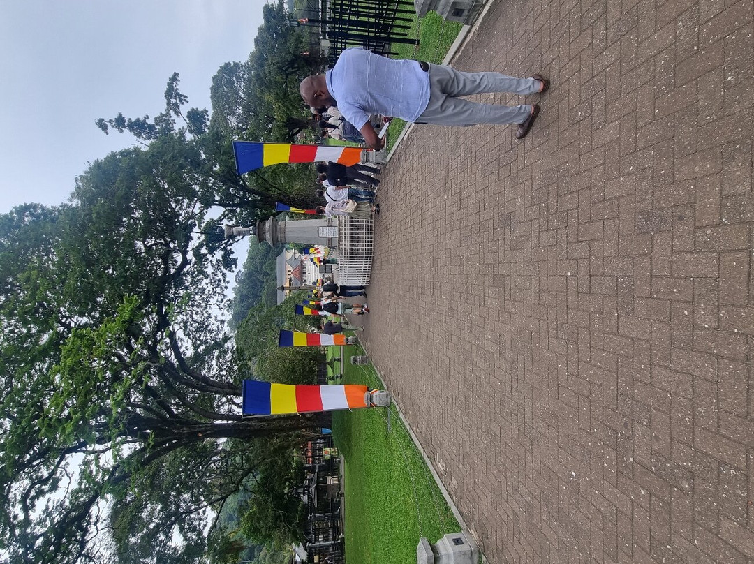 Viaggi Sri Lanka Con Vaas-科奇克德必去景点