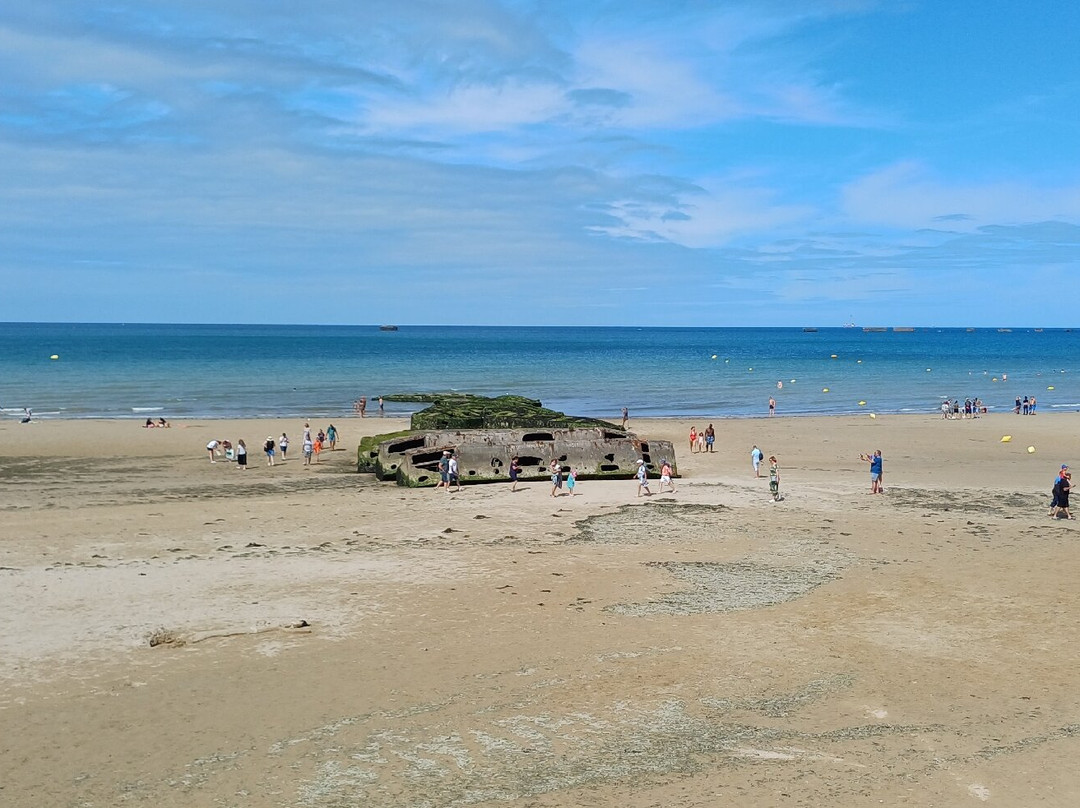 Gold Beach景点图片