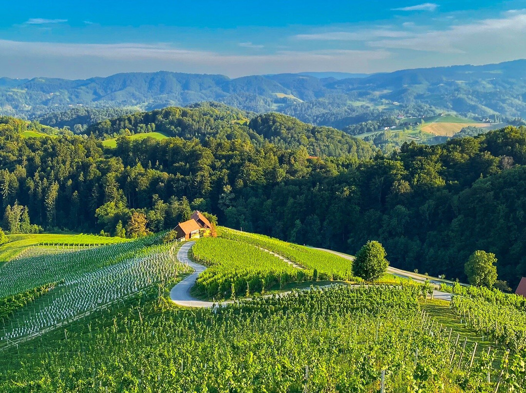 Šerbinek Winery & the Heart-Shaped Wine Road-Zgornja Kungota必去景点