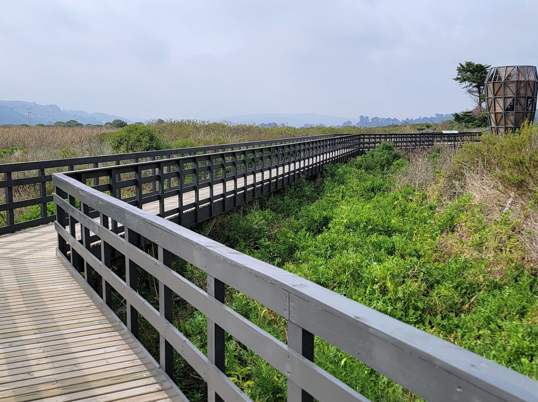Humedal Rio Maipo-圣安东尼奥必去景点