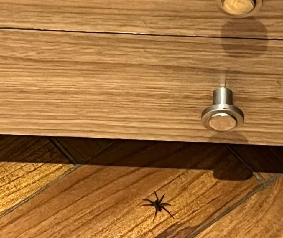 Kasauli Courtyard主图