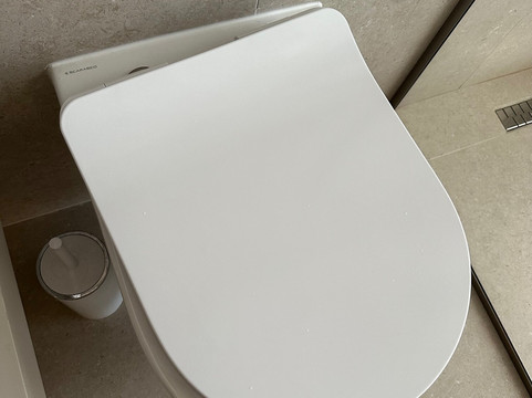 雷吉娜棕榈度假村