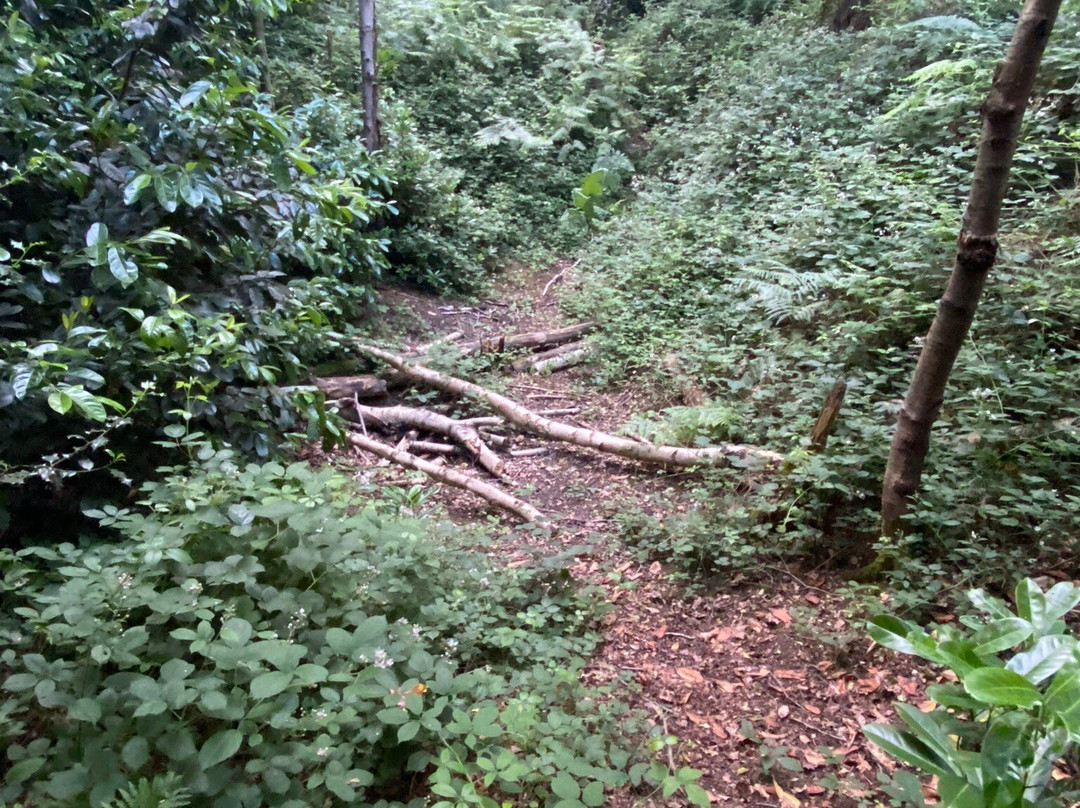 Mardley Heath景点图片