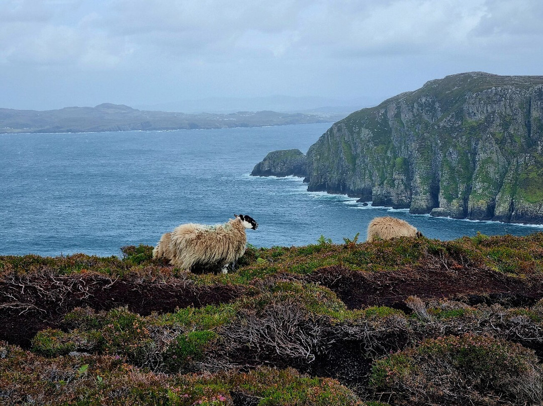 Hornhead Loop-Dunfanaghy必去景点