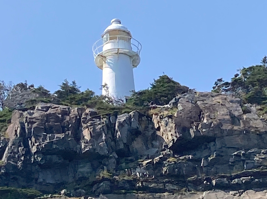O'Brien's Whale and Bird Tours景点图片
