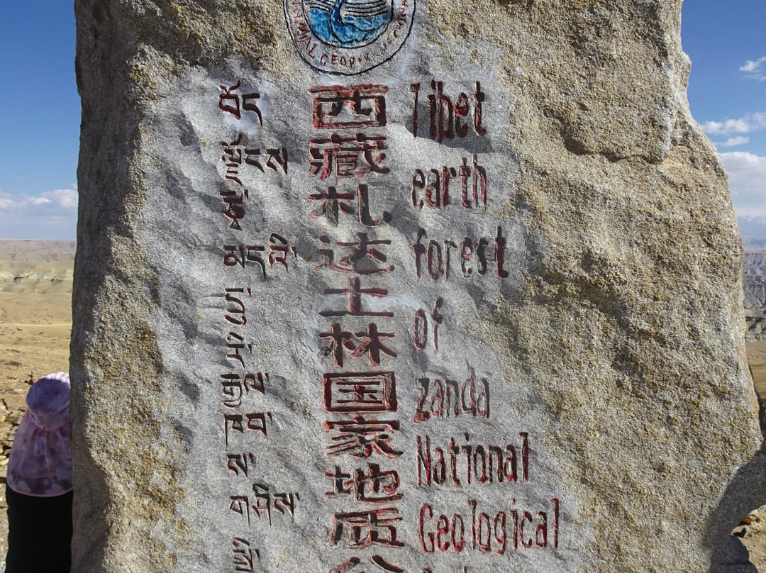 扎达土林国家地质公园-札达县必去景点