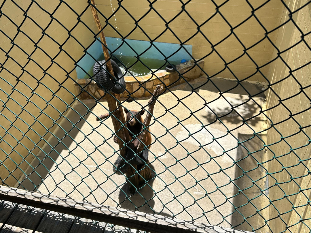 Cherokee Bear Zoo and Exotic Animals景点图片