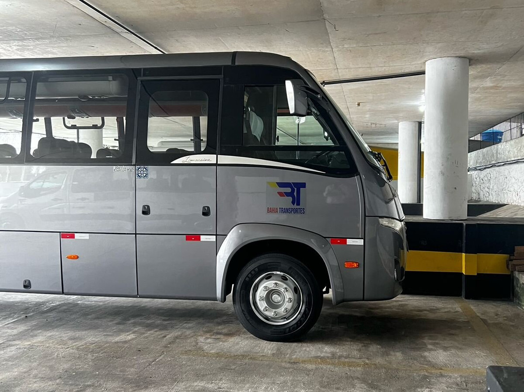 Bahia Transportation-萨尔瓦多必去景点