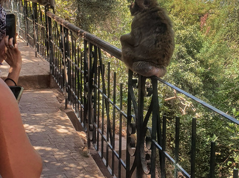 Sahara Travel Trips-马拉喀什必去景点