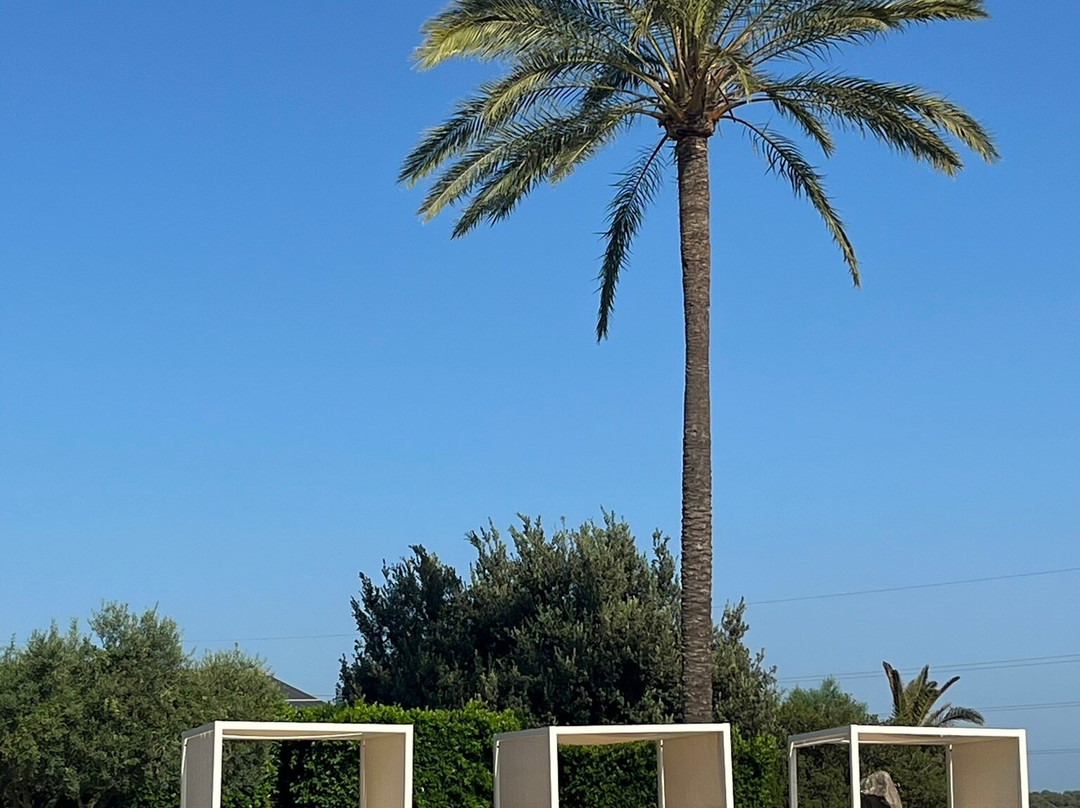 Son Trobat Wellness & Spa主图