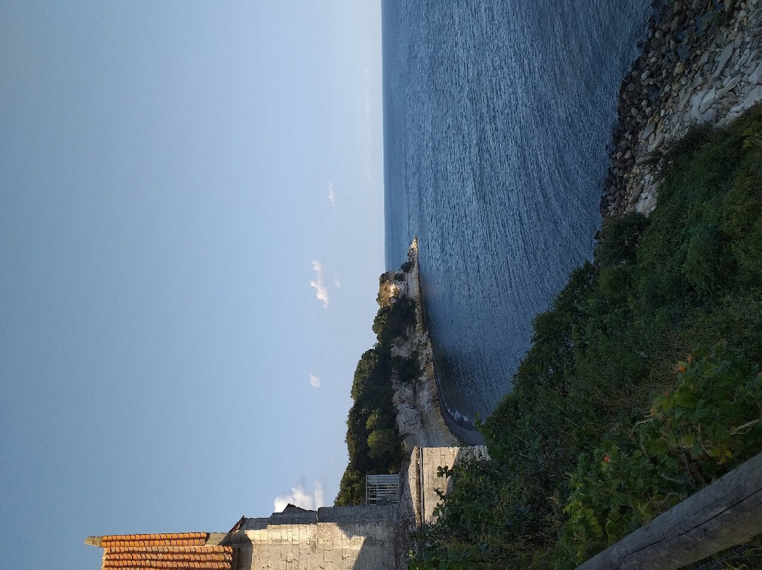 Stevns Klint景点图片