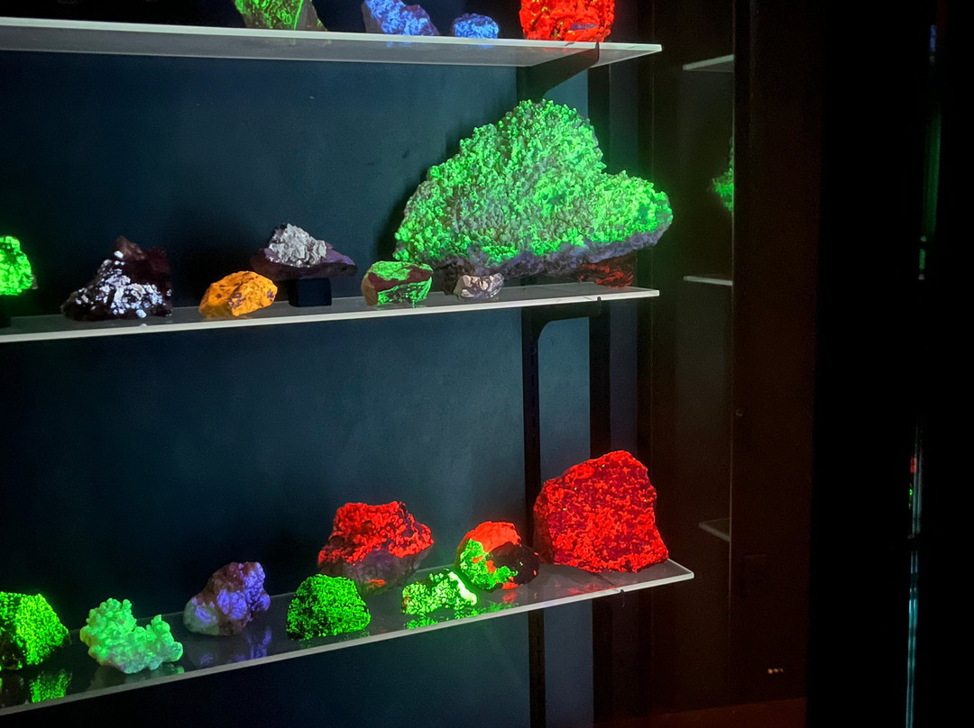 University of Wisconsin Geology Museum-麦迪逊必去景点