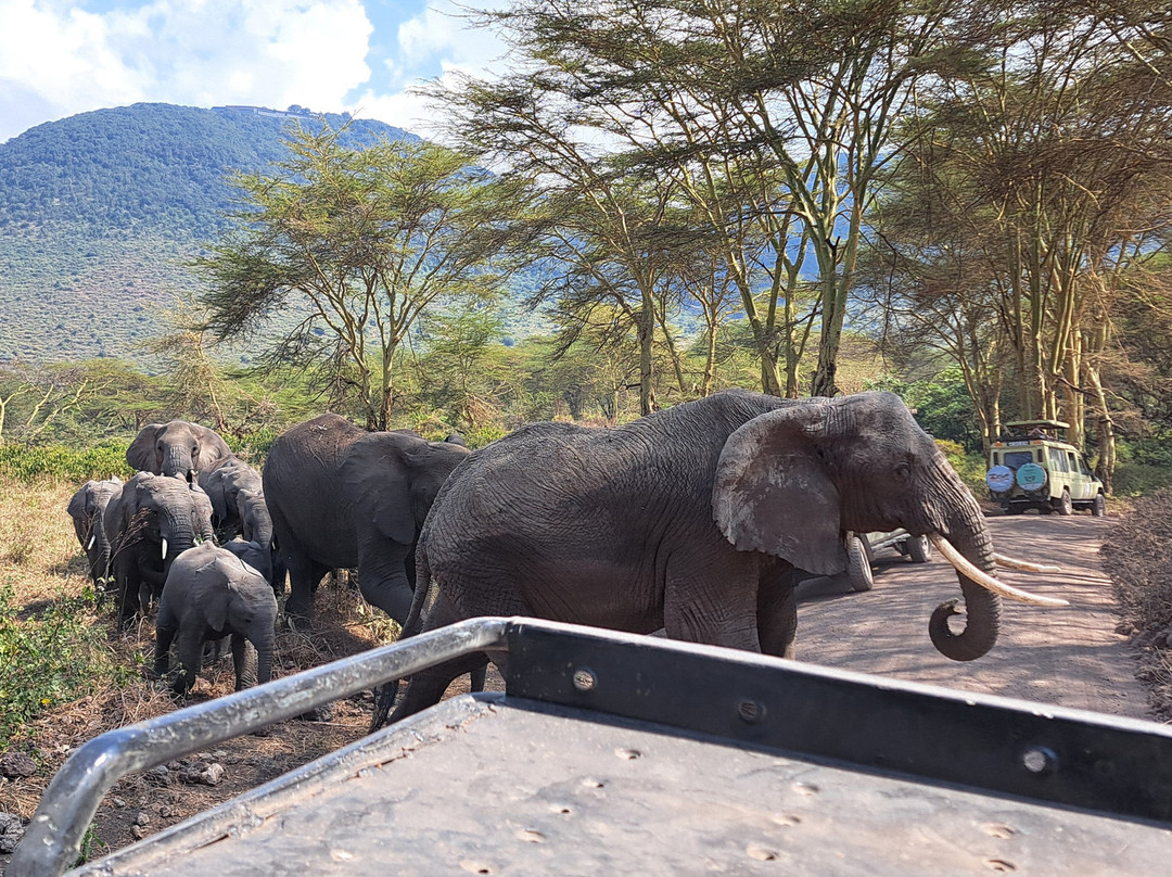 Safari Multiways-纳特龙湖必去景点