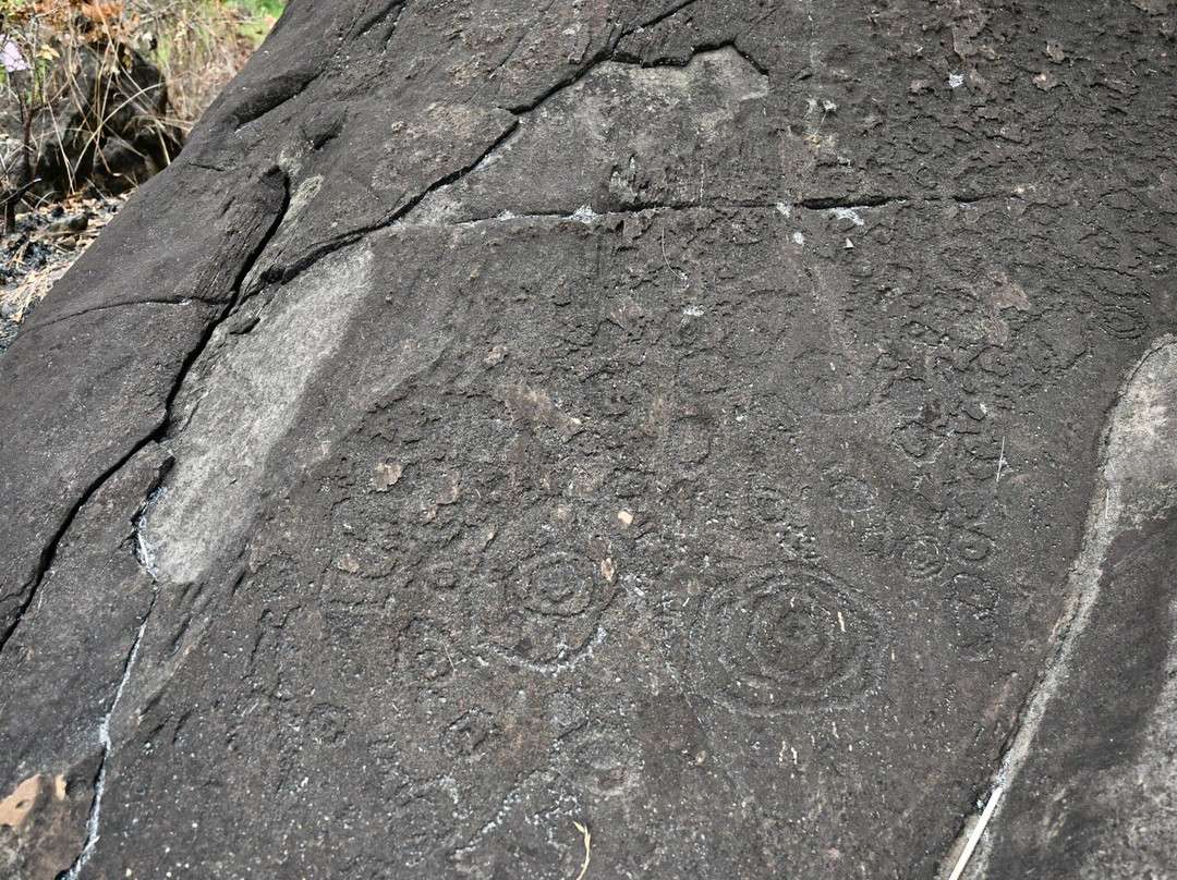 洛佩生态系统与文化遗迹景观-Lope Wildlife Reserve必去景点