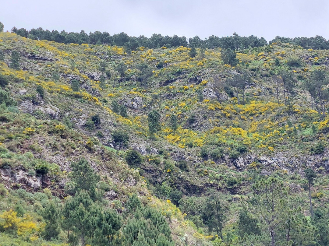 Miradouro Eira do Serrado景点图片