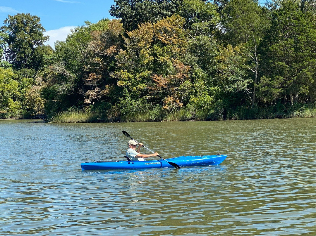 The Oaks Waterfront Hotel主图