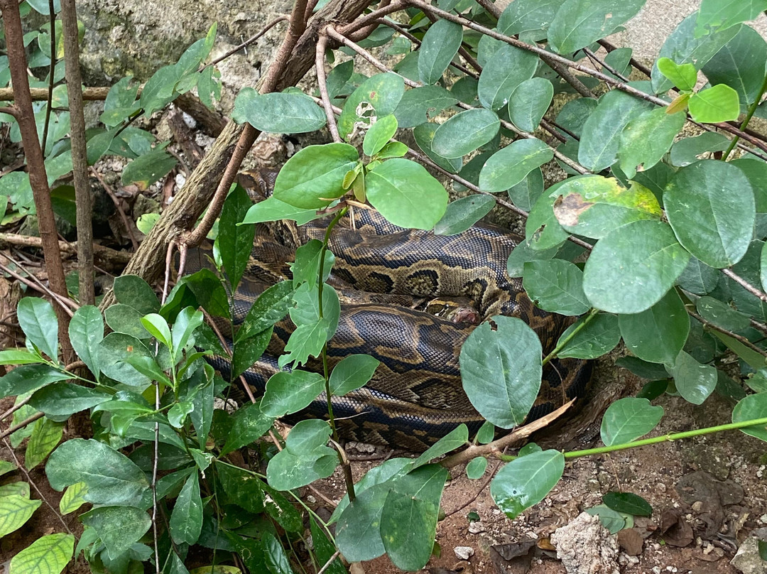 Zanzibar Kilosas Conservation-孥归必去景点