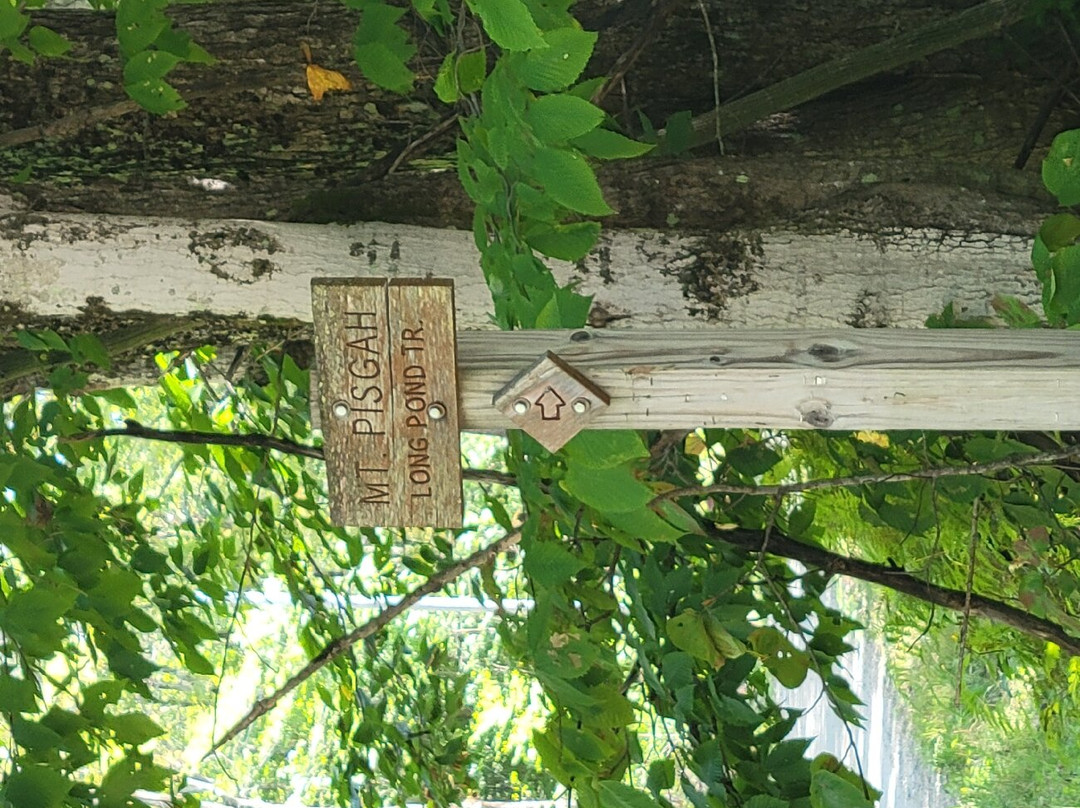 Mount Pisgah-East Burke必去景点