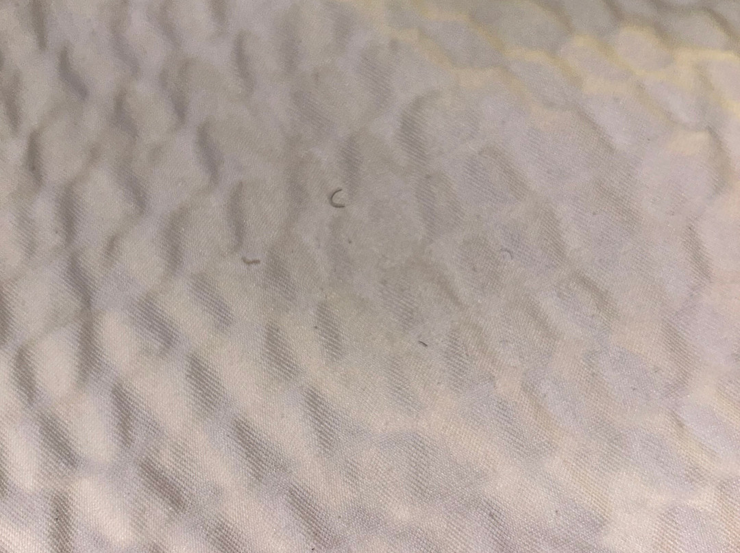 Holiday Inn & Suites Lima By IHG主图