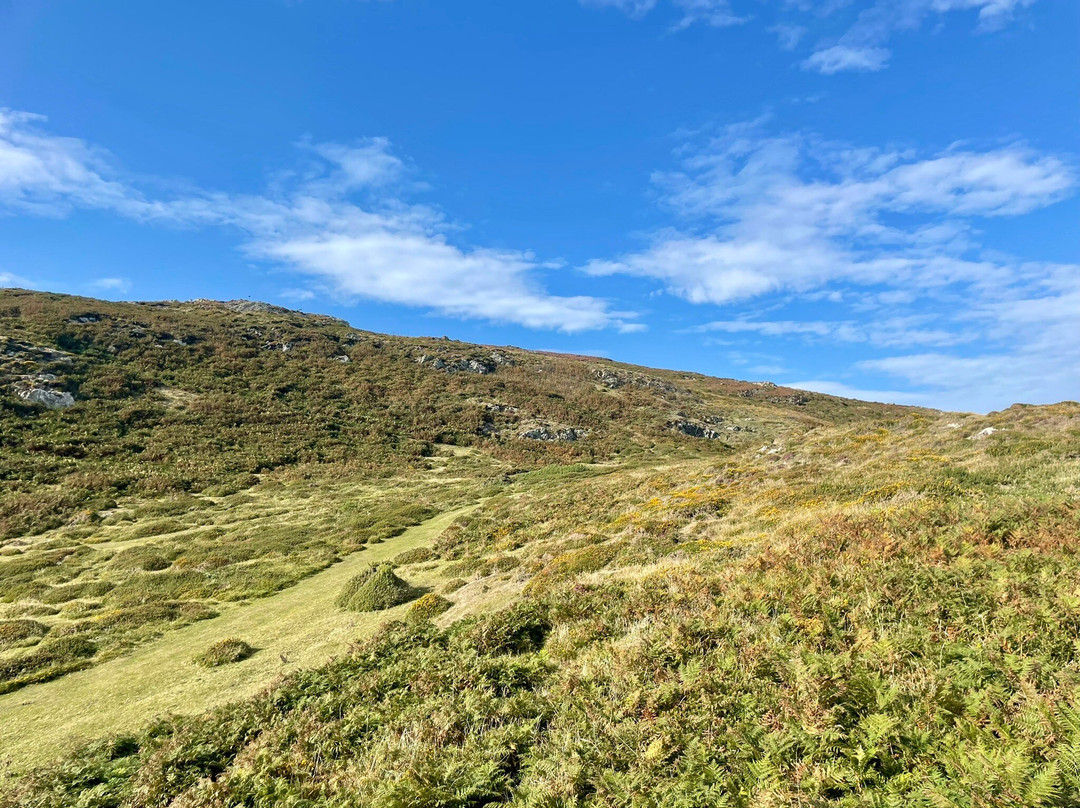 Mynydd Mawr景点图片