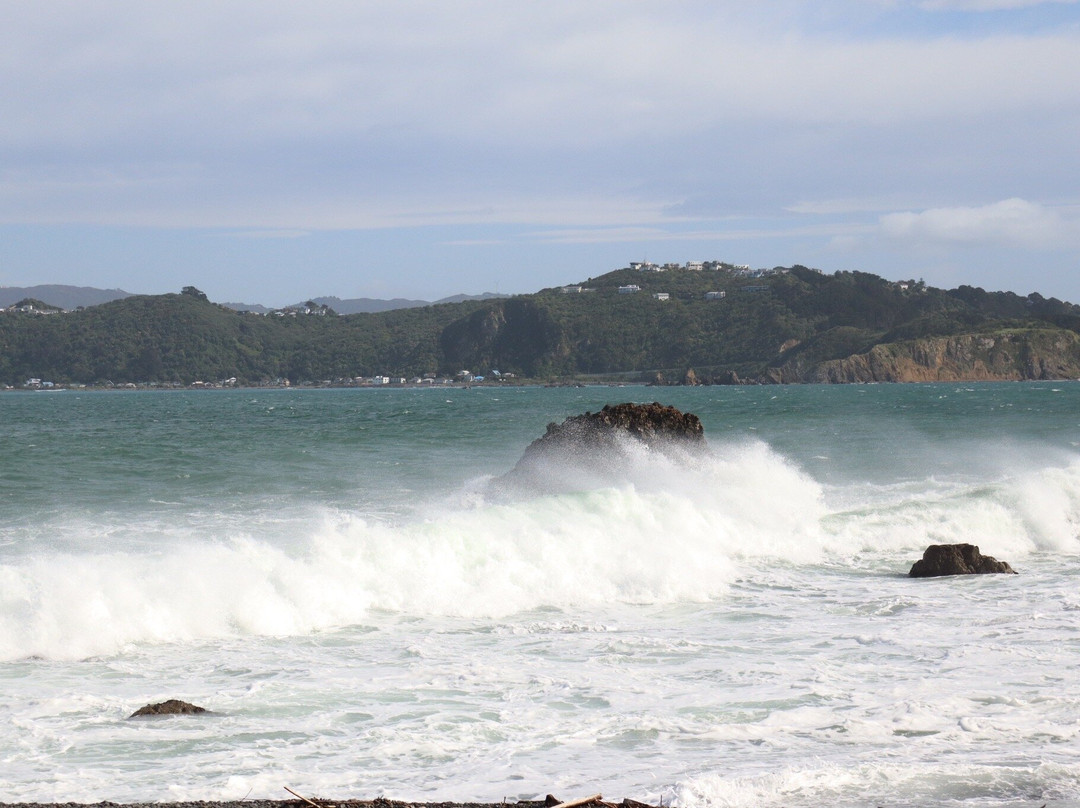 East Harbour Regional Park景点图片