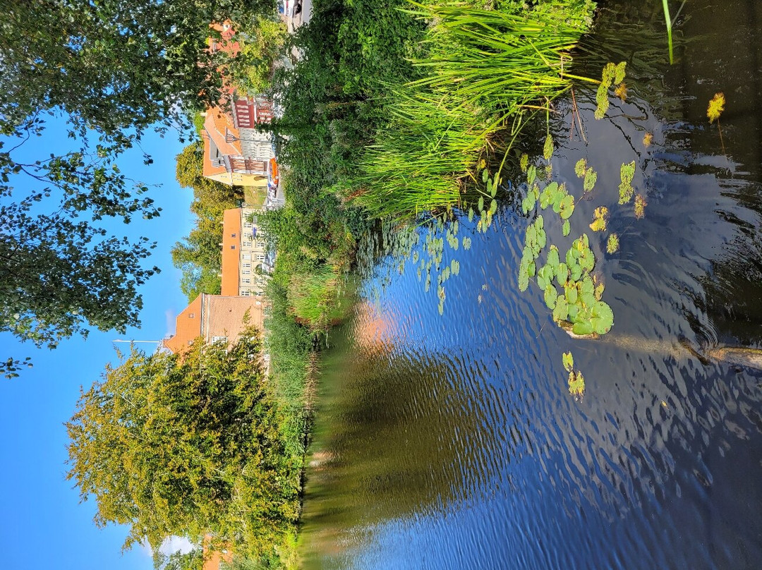 Nyborg Slot-尼堡必去景点