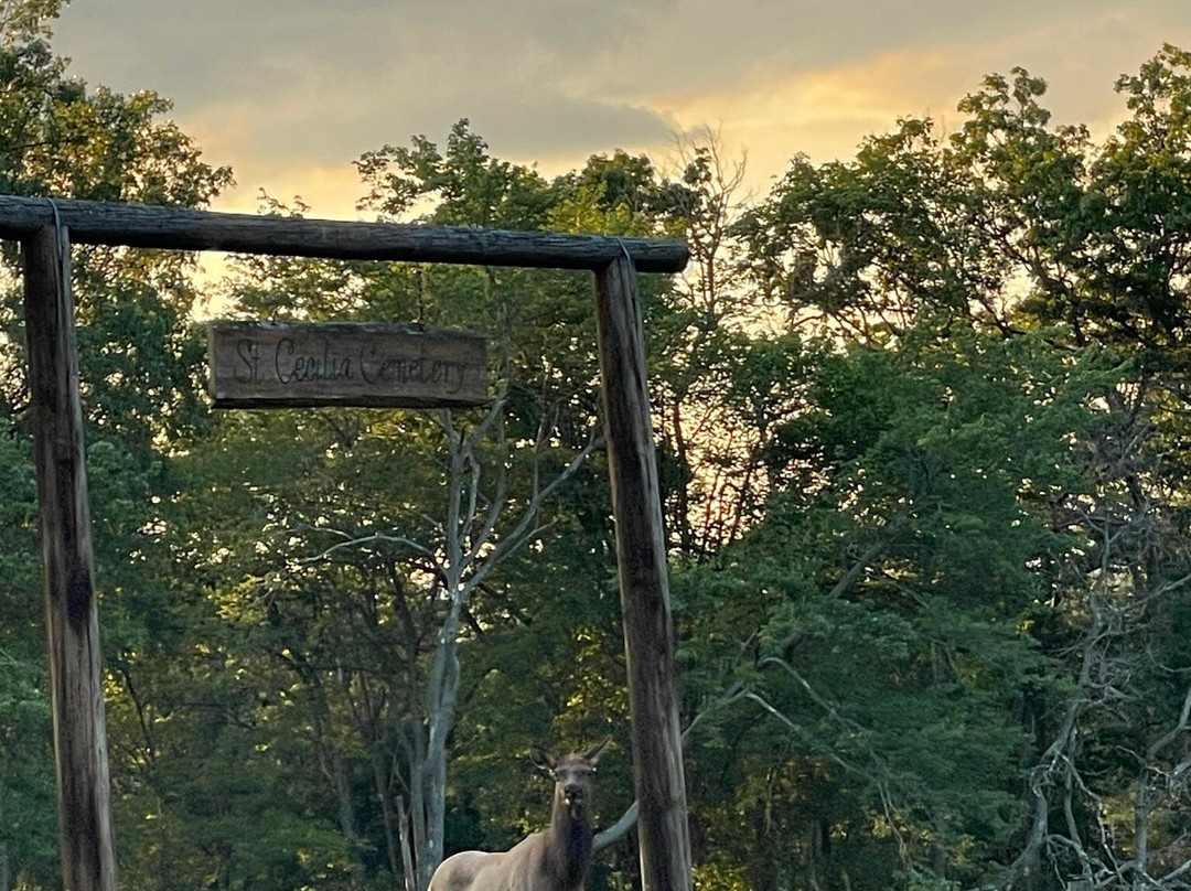 Elk Country Visitor Center景点图片