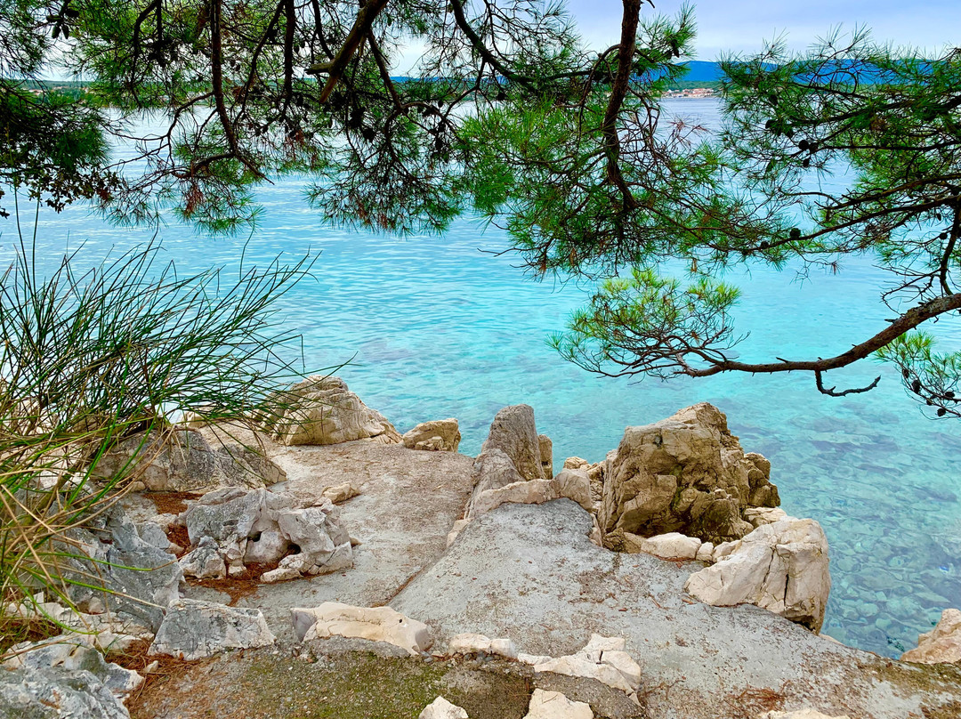 Contessa Tours - Opatija-欧帕提亚必去景点