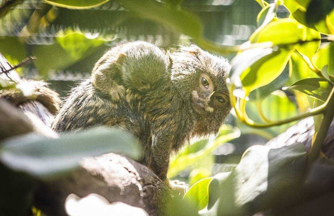 Natureland Zoo景点图片