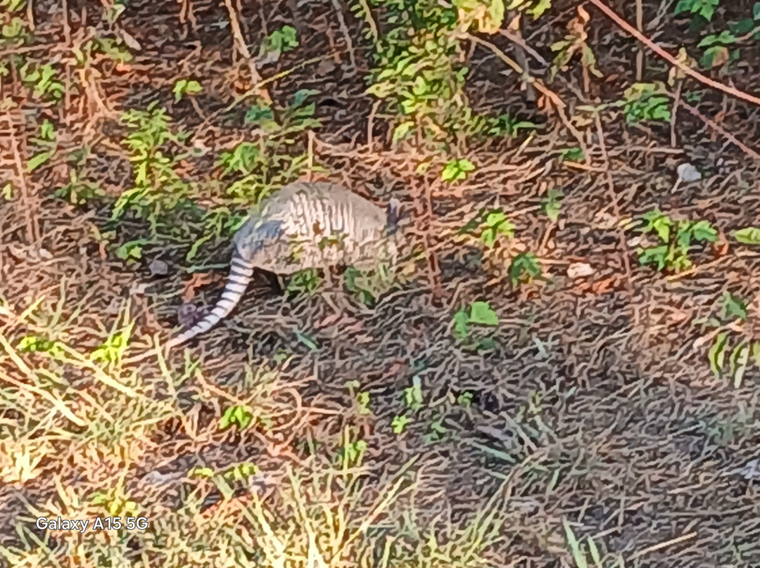 High View Park-恩尼斯必去景点