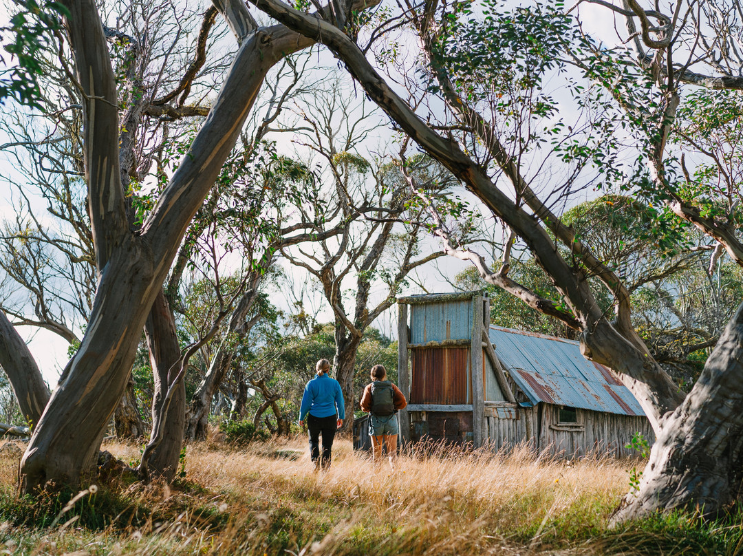 Falls Creek Alpine Resort-Falls Creek必去景点