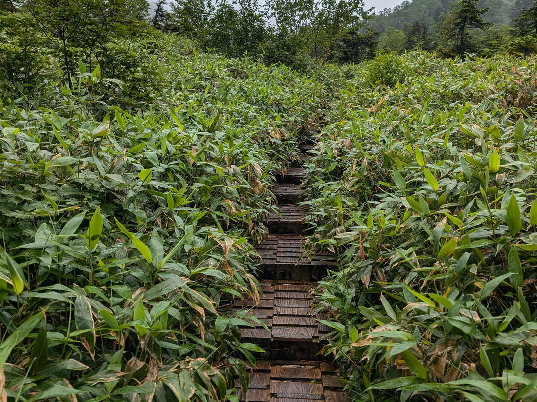 Midagahara-立山町必去景点