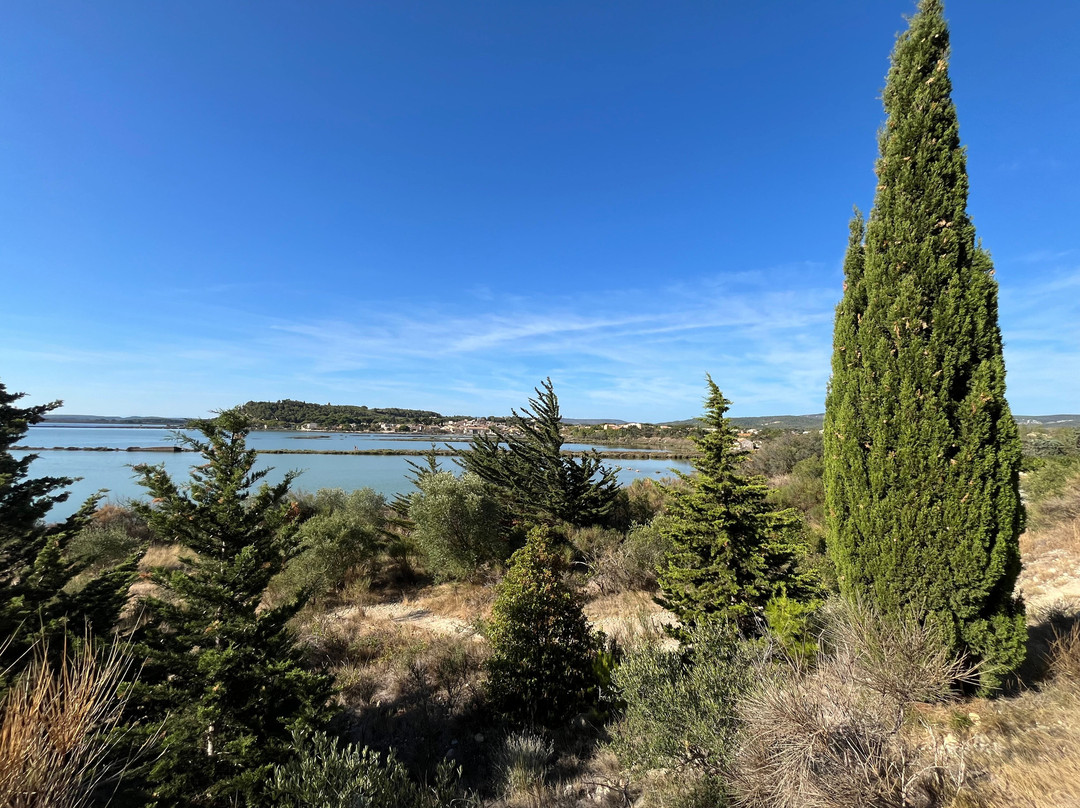 Les Terres Basses主图