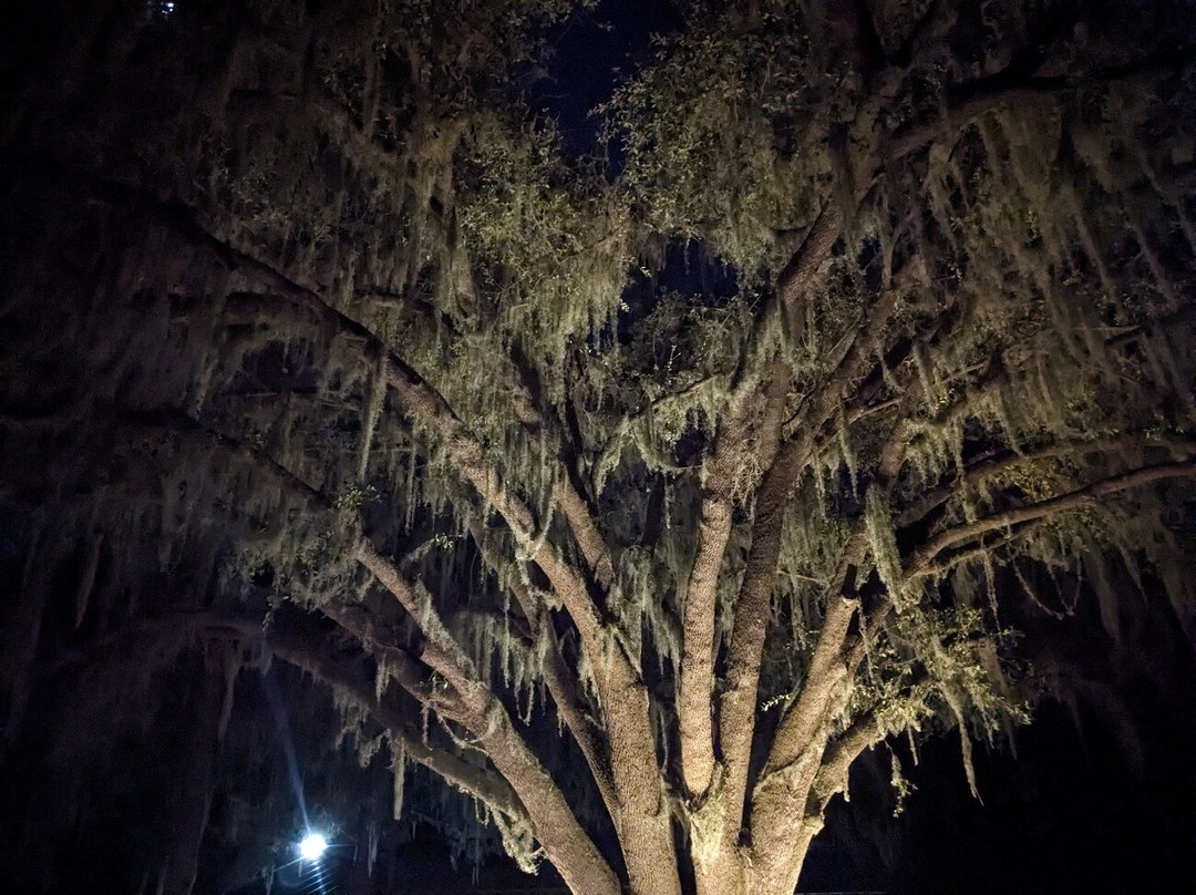 Bienville Plantation-White Springs必去景点