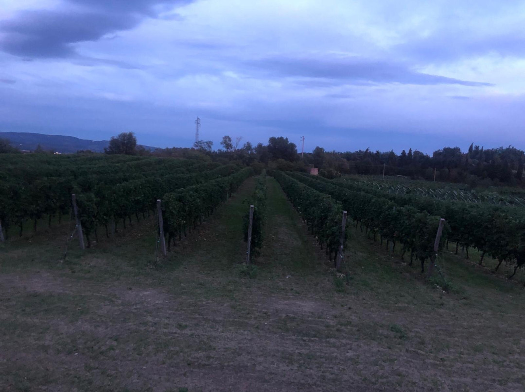 Agriturismo & Agricamping Serena主图