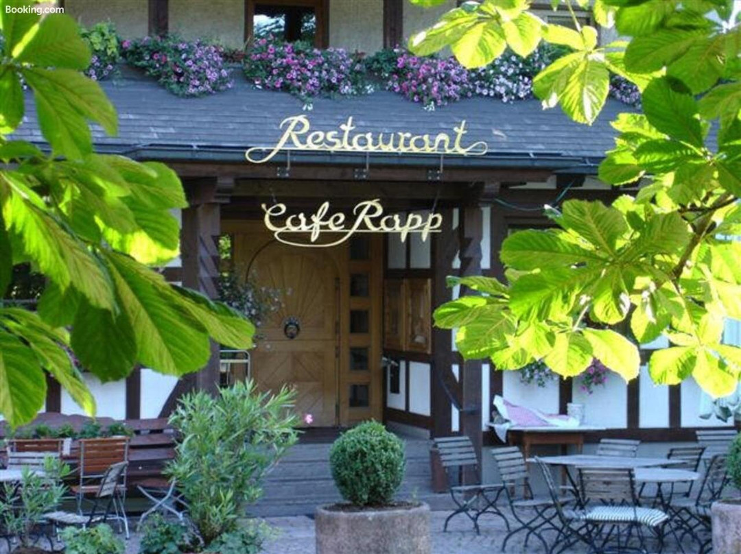 Hotel Restaurant Cafe Rapp主图