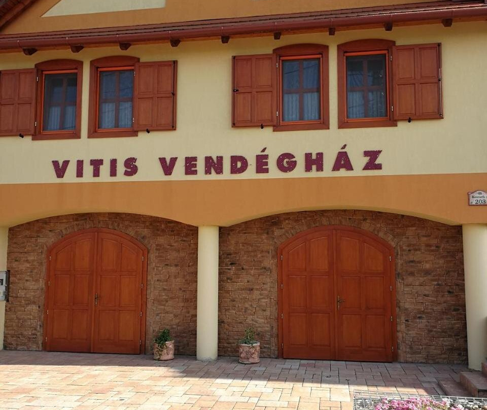 Vitis Vendeghaz主图