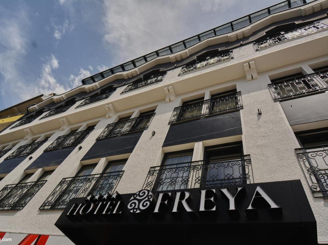 Hotel Freya主图