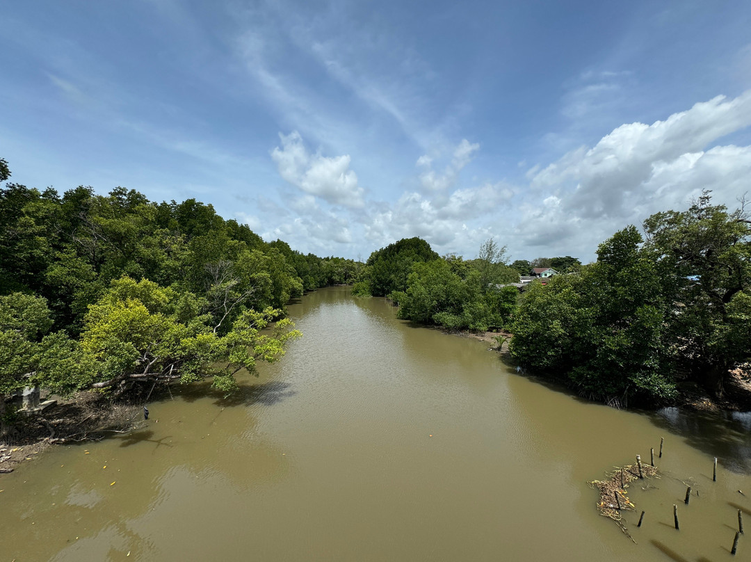 Mangrove Forest Learning Center-罗勇必去景点