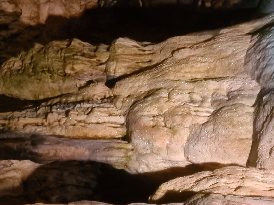 Grottes d'Osselle景点图片