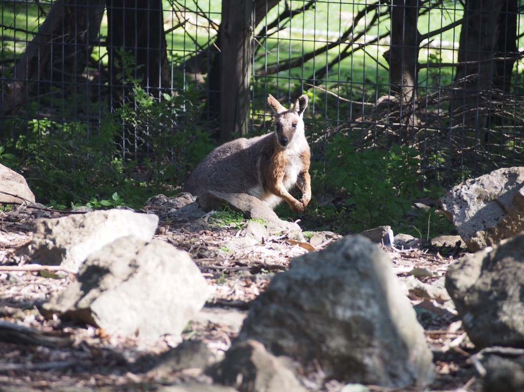 Cleland Conservation Park-阿德莱德必去景点