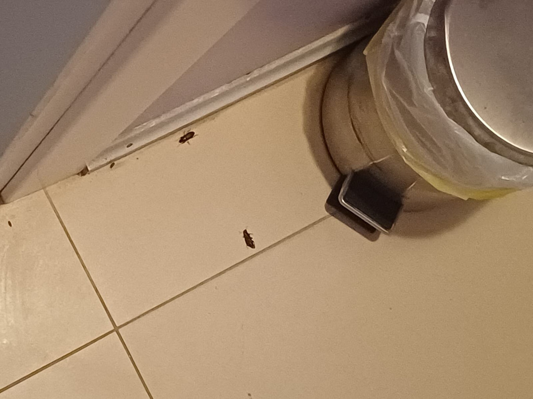 Le Stelline Villaggio Albergo主图