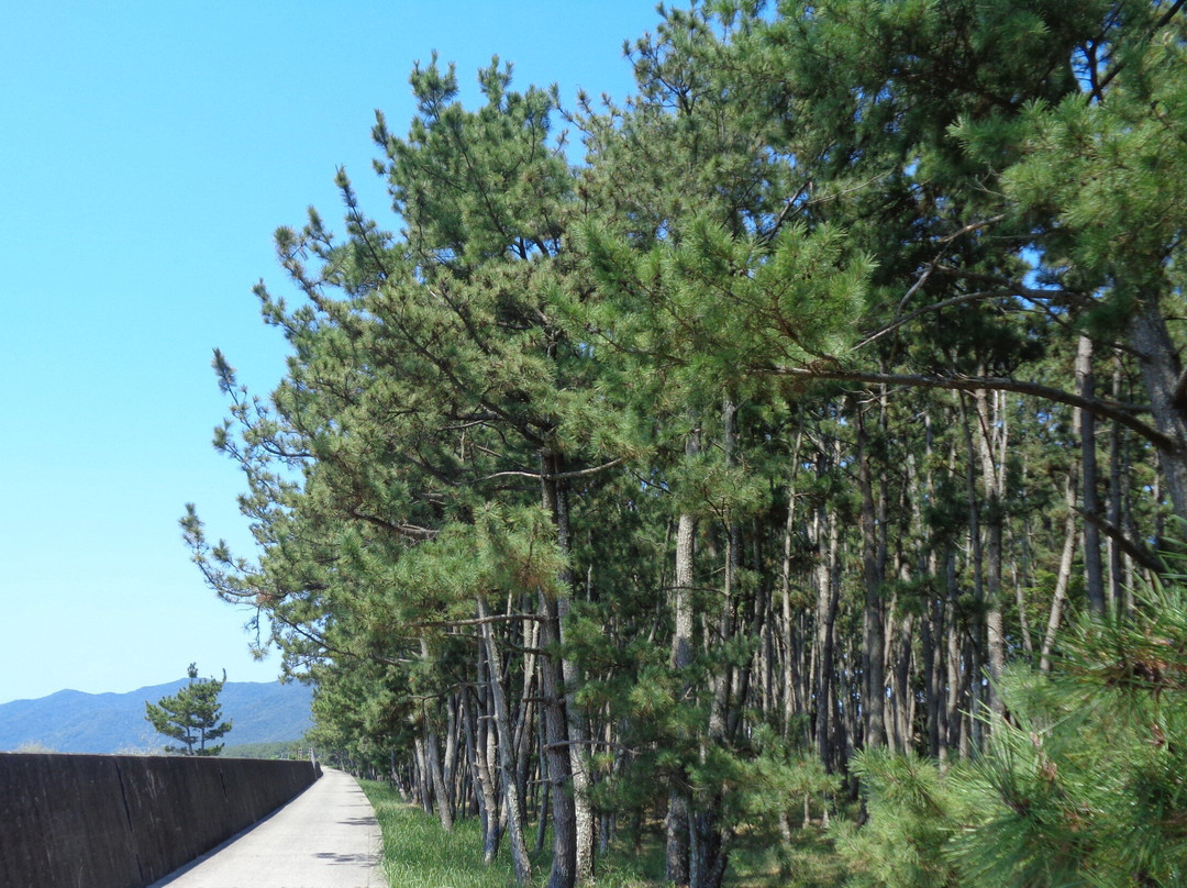 Enju Kaigan Wakayama Natural Park