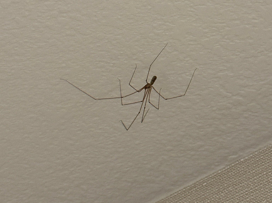 Fairfield Inn & Suites Jasper主图