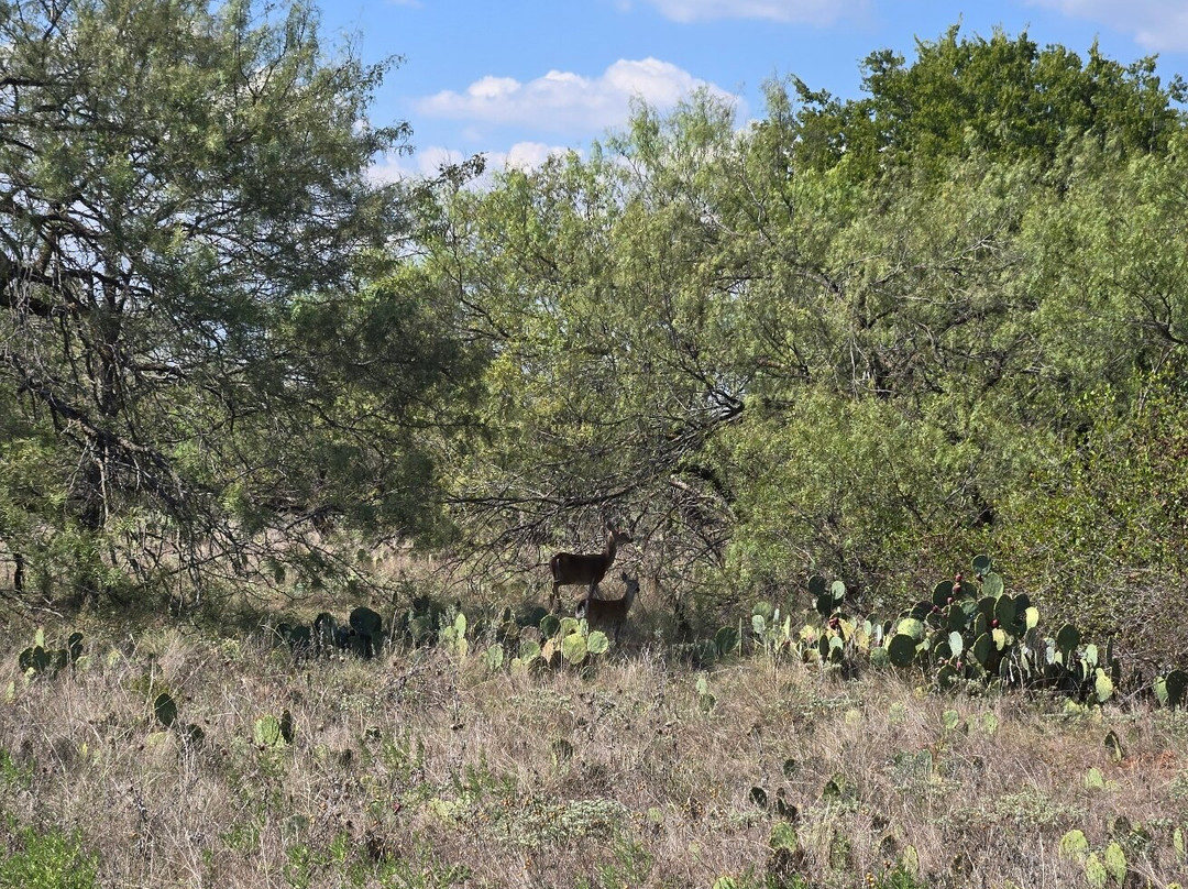 Fort Richardson State Park and Historic Site景点图片